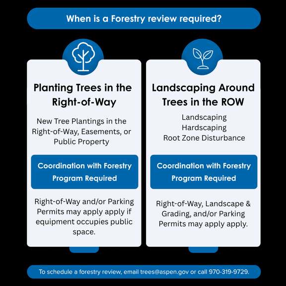 When is a forestry review needed?