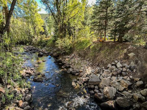Picture of stream running through Freddie Fisher Park