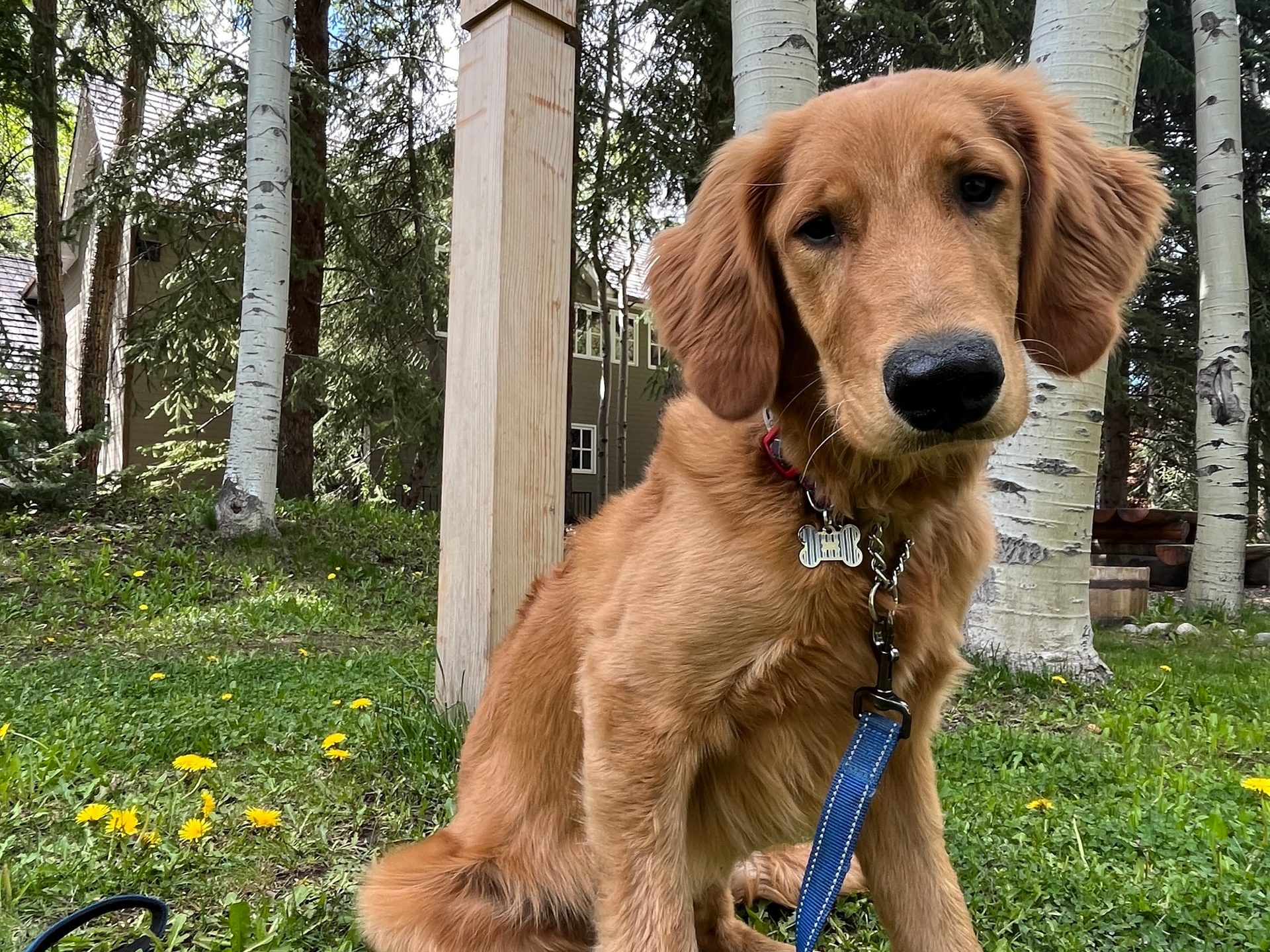 Perri in Hillyard Park