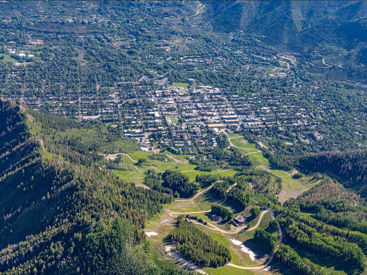 Aerial Image of Aspen Forests