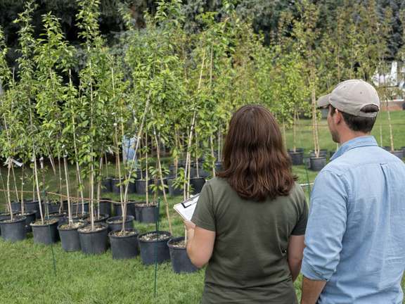Arbor Day Tree Giveaway Consulting